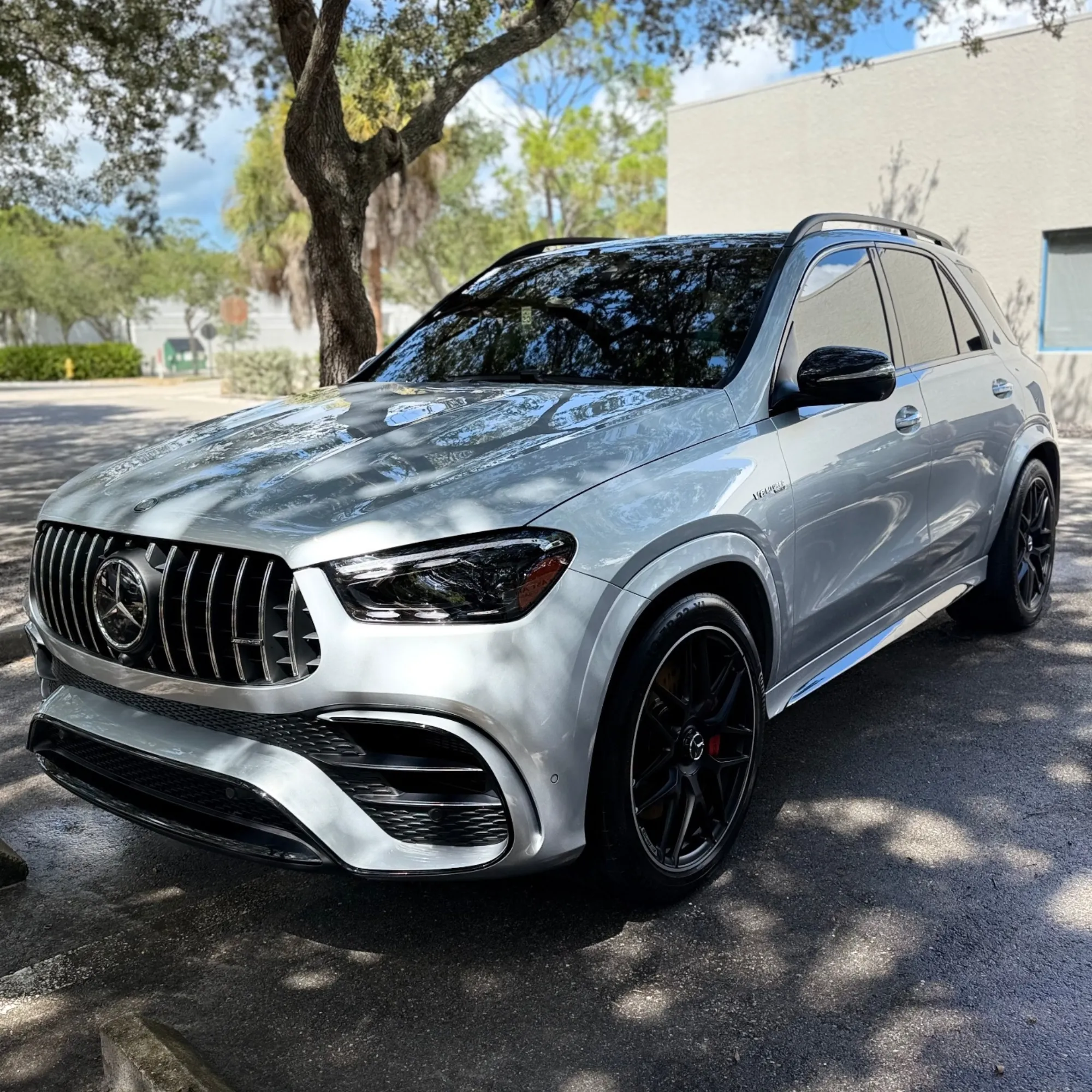 Professional Detailing in Milford MA